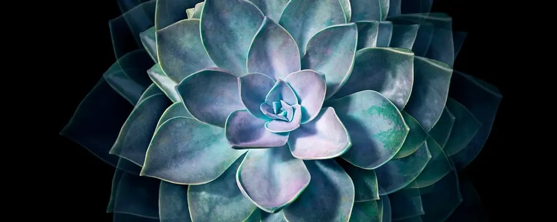 07-Arqit_Nature2